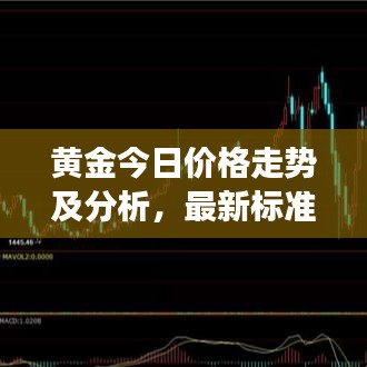 黄金今日价格走势及分析，最新标准与市场影响因素探讨