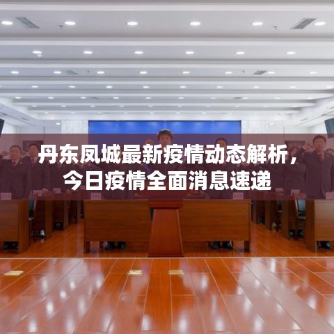 丹东凤城最新疫情动态解析，今日疫情全面消息速递