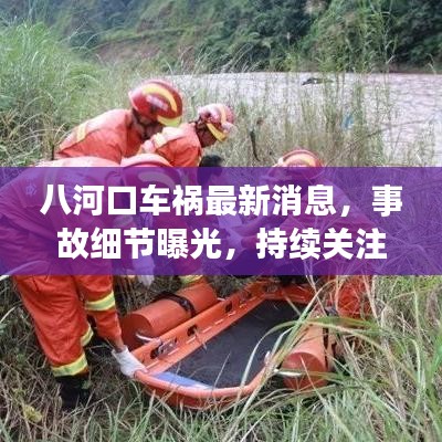 八河口车祸最新消息，事故细节曝光，持续关注后续进展