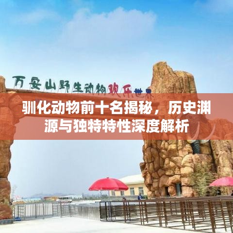 驯化动物前十名揭秘，历史渊源与独特特性深度解析