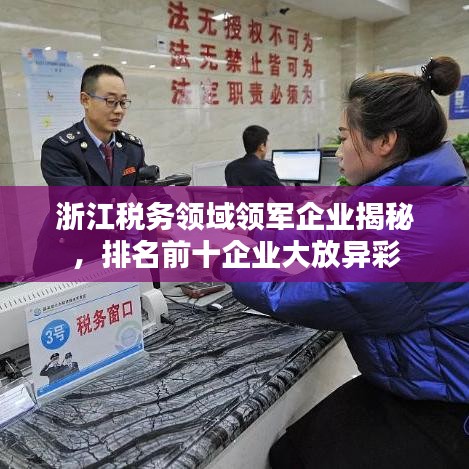 浙江税务领域领军企业揭秘，排名前十企业大放异彩