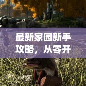 最新家园新手攻略，从零开始，打造梦幻虚拟家园！