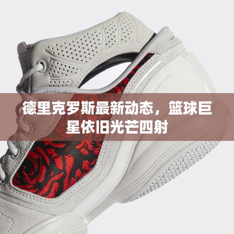 德里克罗斯最新动态，篮球巨星依旧光芒四射