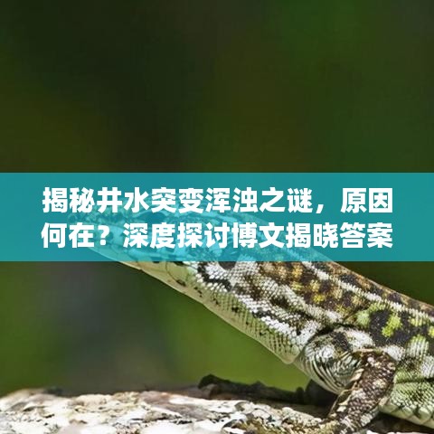 揭秘井水突变浑浊之谜，原因何在？深度探讨博文揭晓答案