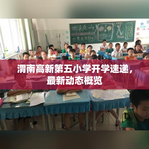 渭南高新第五小学开学速递，最新动态概览