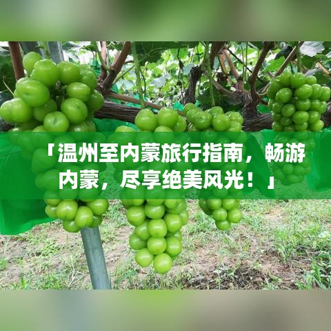 「温州至内蒙旅行指南，畅游内蒙，尽享绝美风光！」