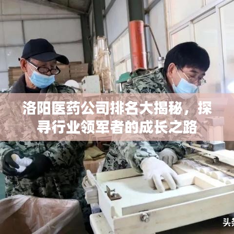 洛阳医药公司排名大揭秘，探寻行业领军者的成长之路