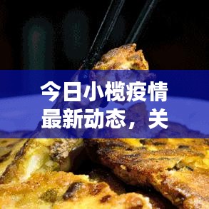 今日小榄疫情最新动态，关键信息一网打尽