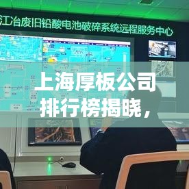 上海厚板公司排行榜揭晓，行业领军者的身影一览无余