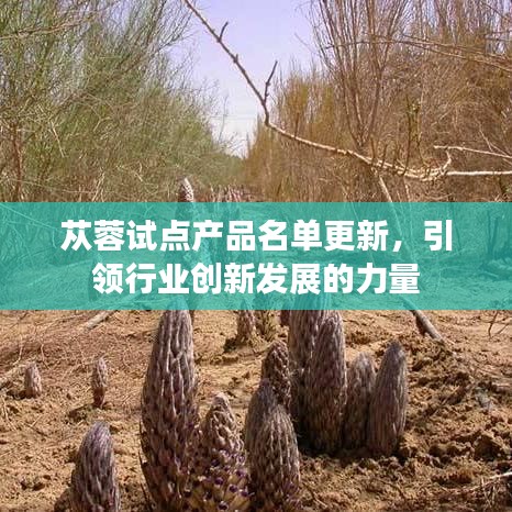 苁蓉试点产品名单更新，引领行业创新发展的力量