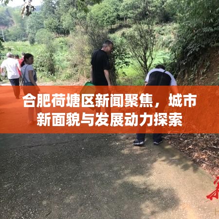 合肥荷塘区新闻聚焦，城市新面貌与发展动力探索