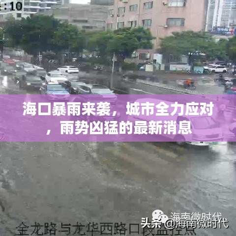 海口暴雨来袭，城市全力应对，雨势凶猛的最新消息
