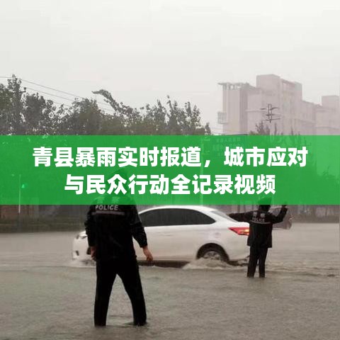 青县暴雨实时报道，城市应对与民众行动全记录视频