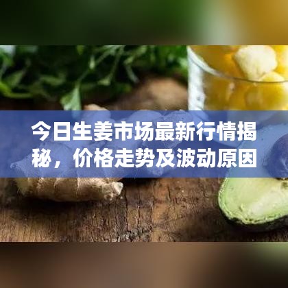 今日生姜市场最新行情揭秘，价格走势及波动原因探究
