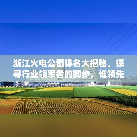 浙江火电公司排名大揭秘，探寻行业领军者的脚步，谁领先领跑？