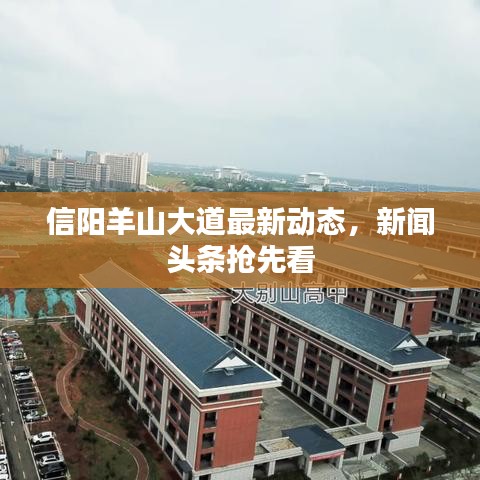 信阳羊山大道最新动态，新闻头条抢先看