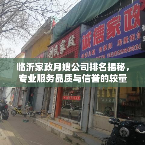 临沂家政月嫂公司排名揭秘，专业服务品质与信誉的较量