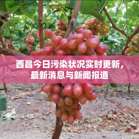 西昌今日污染状况实时更新，最新消息与新闻报道