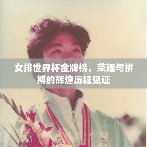 女排世界杯金牌榜，荣耀与拼搏的辉煌历程见证