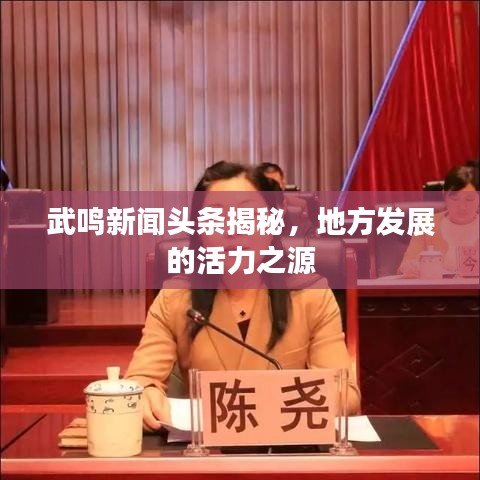 武鸣新闻头条揭秘，地方发展的活力之源
