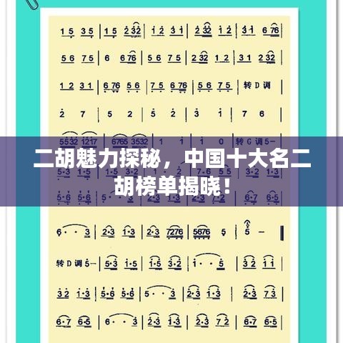 二胡魅力探秘，中国十大名二胡榜单揭晓！