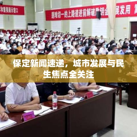 保定新闻速递，城市发展与民生焦点全关注