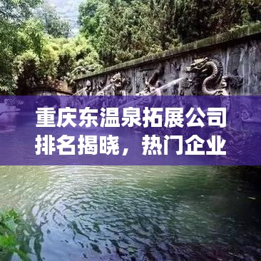 重庆东温泉拓展公司排名揭晓，热门企业榜单大揭秘！