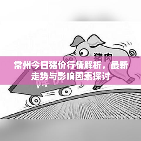 常州今日猪价行情解析，最新走势与影响因素探讨