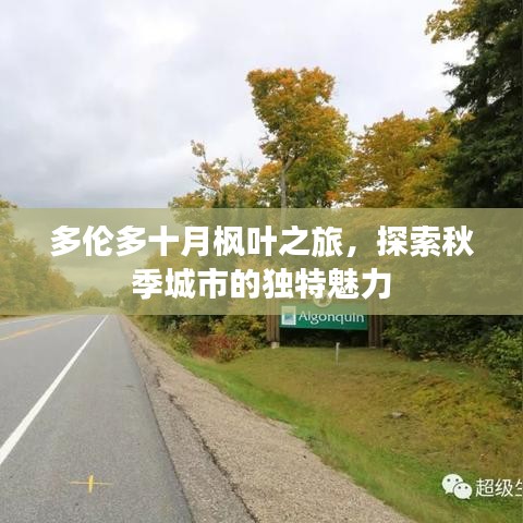 多伦多十月枫叶之旅，探索秋季城市的独特魅力