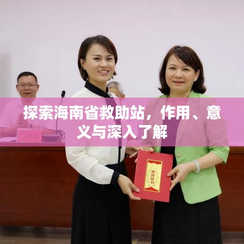 探索海南省救助站，作用、意义与深入了解