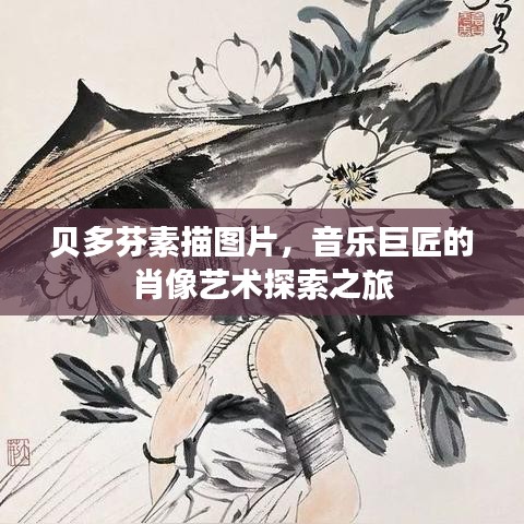 贝多芬素描图片，音乐巨匠的肖像艺术探索之旅