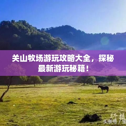 关山牧场游玩攻略大全，探秘最新游玩秘籍！