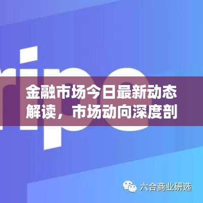 2025年5月17日 第5页