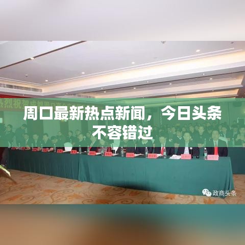 周口最新热点新闻，今日头条不容错过