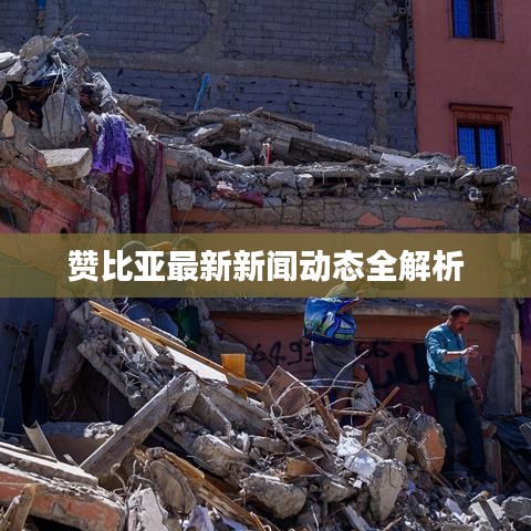 赞比亚最新新闻动态全解析