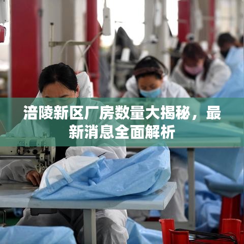 涪陵新区厂房数量大揭秘，最新消息全面解析