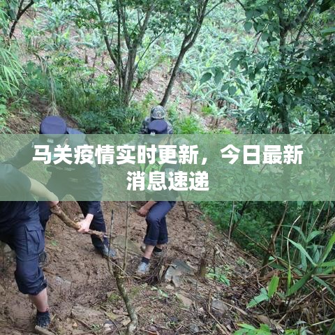 马关疫情实时更新，今日最新消息速递