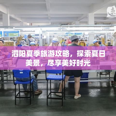 泗阳夏季旅游攻略，探索夏日美景，尽享美好时光