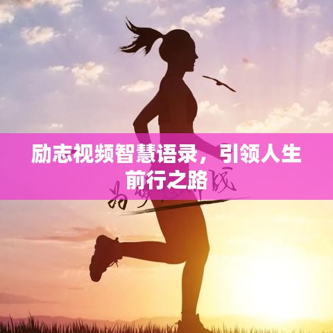 励志视频智慧语录，引领人生前行之路