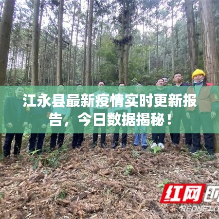 江永县最新疫情实时更新报告，今日数据揭秘！