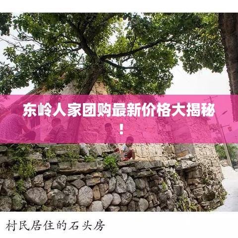 东岭人家团购最新价格大揭秘！
