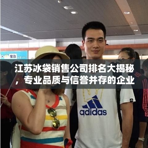 江苏冰袋销售公司排名大揭秘，专业品质与信誉并存的企业榜单
