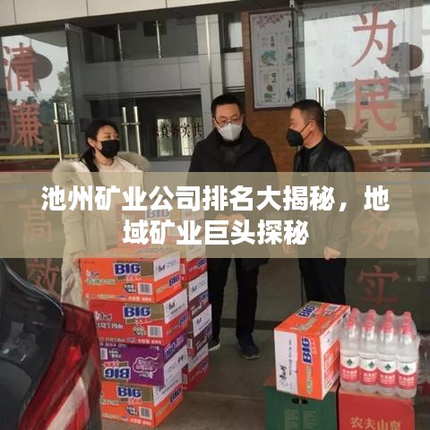 池州矿业公司排名大揭秘，地域矿业巨头探秘