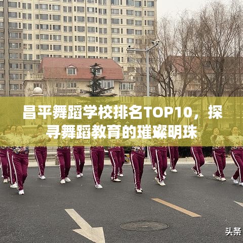 昌平舞蹈学校排名TOP10，探寻舞蹈教育的璀璨明珠