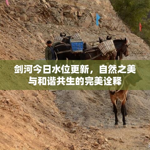 剑河今日水位更新，自然之美与和谐共生的完美诠释
