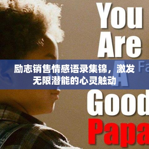 励志销售情感语录集锦，激发无限潜能的心灵触动