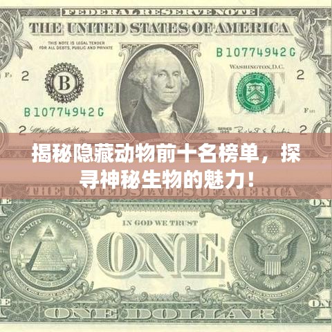 揭秘隐藏动物前十名榜单，探寻神秘生物的魅力！