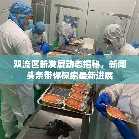 双流区新发展动态揭秘，新闻头条带你探索最新进展