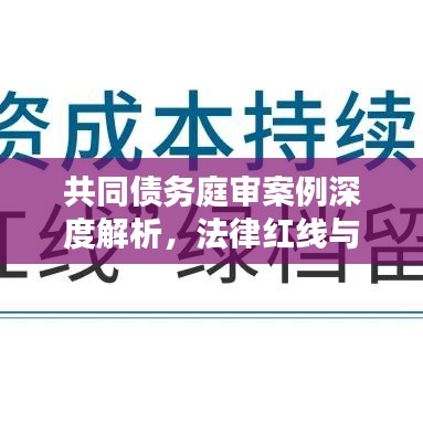 共同债务庭审案例深度解析，法律红线与权益保障全攻略