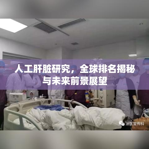 人工肝脏研究，全球排名揭秘与未来前景展望